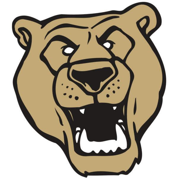 AR BEAR 13 RC Thumbnail