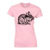 Softstyle™ women's ringspun t-shirt Thumbnail